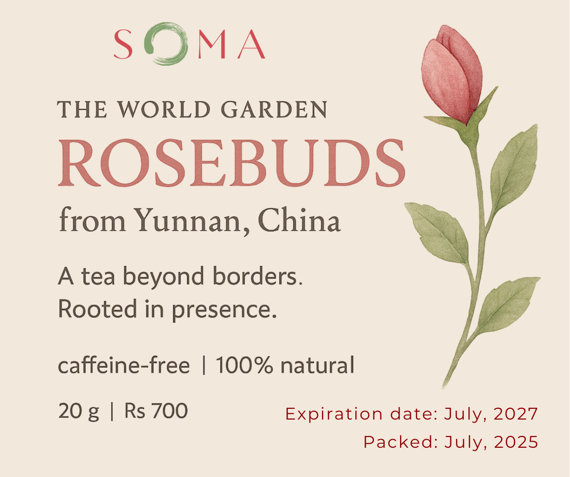 Rosebuds (The World Garden)
